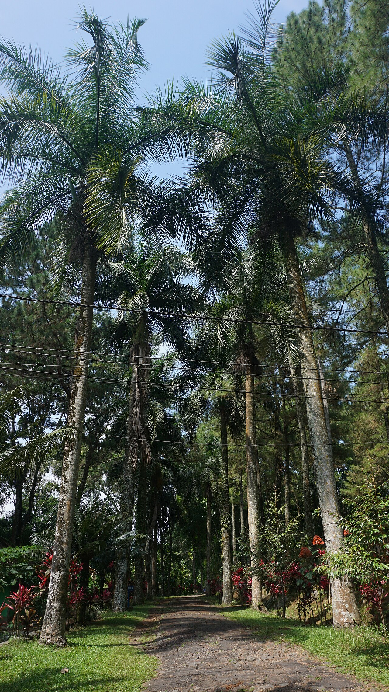 Pelatihan Pokdarwis